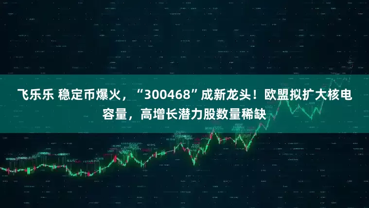 飞乐乐 稳定币爆火，“300468”成新龙头！欧盟拟扩大核电容量，高增长潜力股数量稀缺