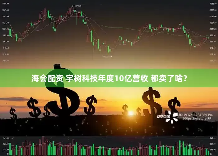 海会配资 宇树科技年度10亿营收 都卖了啥？