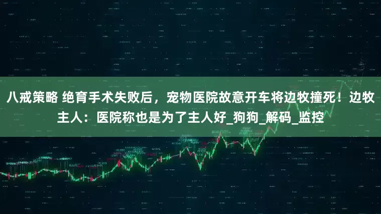 八戒策略 绝育手术失败后，宠物医院故意开车将边牧撞死！边牧主人：医院称也是为了主人好_狗狗_解码_监控