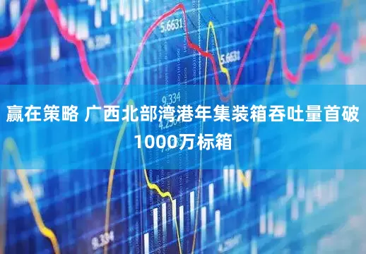 赢在策略 广西北部湾港年集装箱吞吐量首破1000万标箱